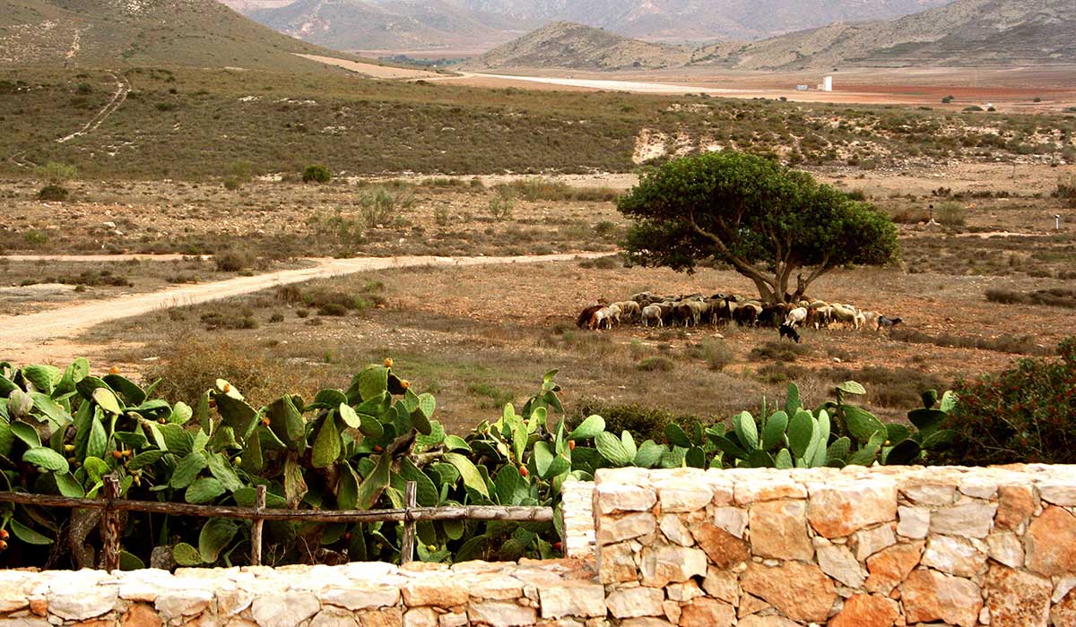 01-jardin-vista