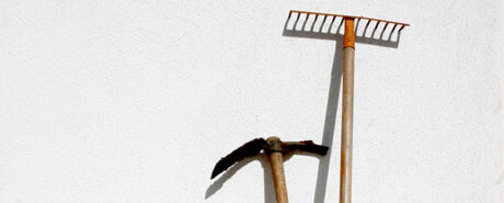 taller-huerta-ecologica-web1
